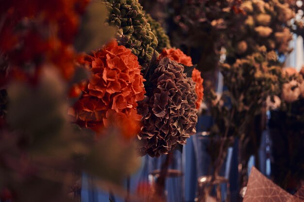 Sesión de fotos de primer plano de hermosas flores diferentes en la floristería.