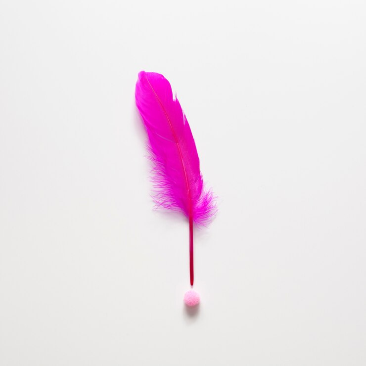 Foto gratuito signo de exclamación minimalista de pluma