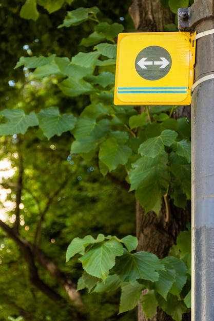 Foto gratuita signo de flecha en el bosque