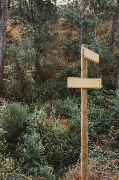 Signo de madera en bosque