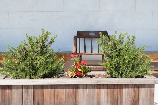 Silla de madera en pequeño jardín