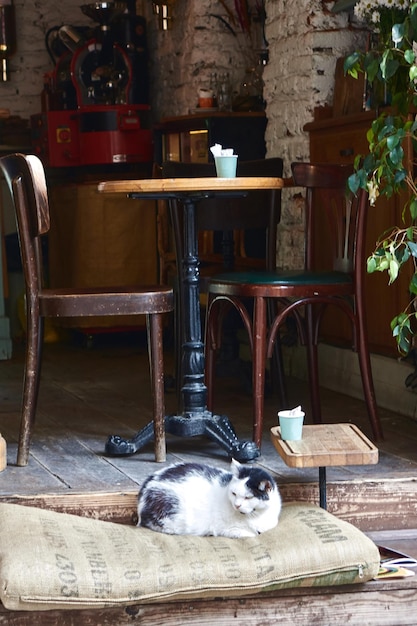 Sillas viejas y una mesa en un pequeño café callejero en Estambul el gato se sienta cerca de un café