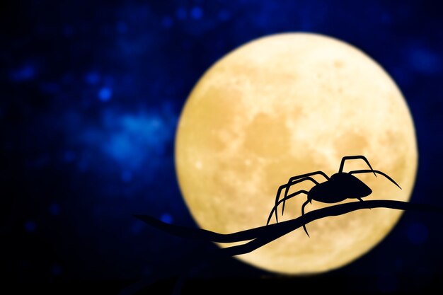 Silueta de araña sobre luna llena