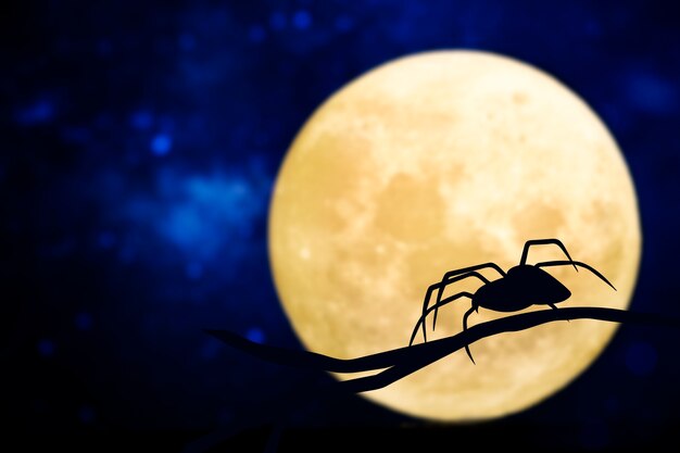 Silueta de araña sobre la luna llena