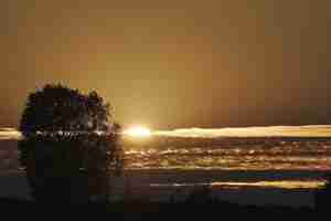 Foto gratuita silueta de árboles en la playa con la hermosa vista del atardecer