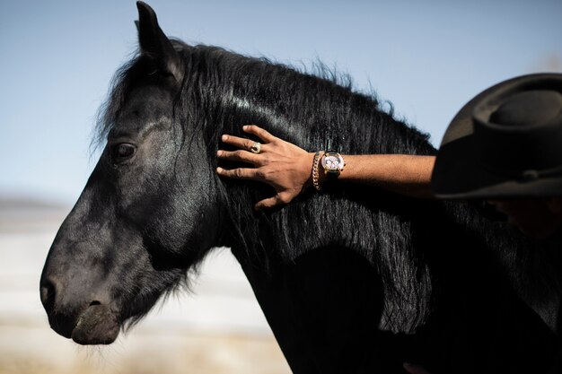 Silueta de caballo contra luz cálida