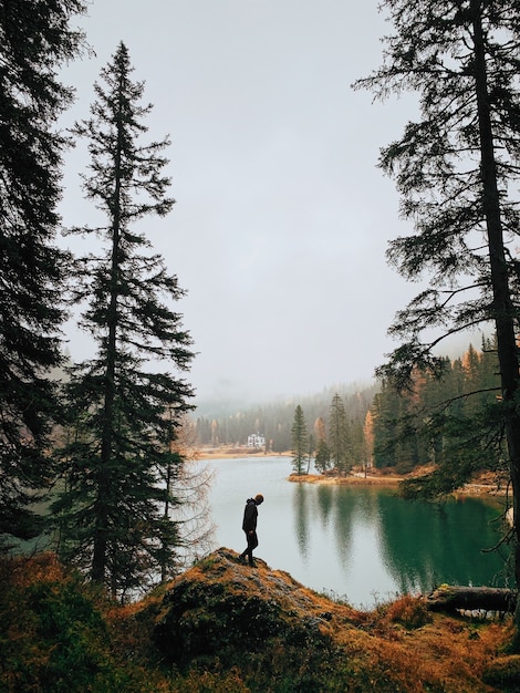 Silueta de un hombre caminando en el bosque cerca de un lago durante la niebla