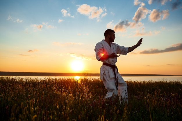 Silueta de hombre deportivo entrenamiento karate en campo al amanecer.