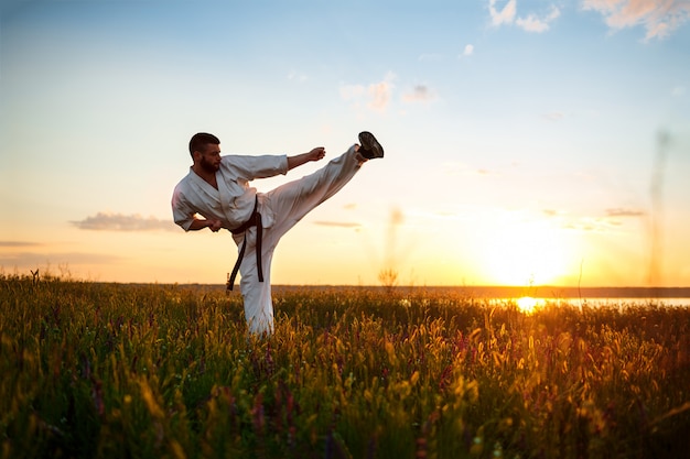 Silueta de hombre deportivo entrenamiento karate en campo al amanecer.