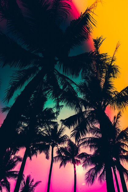 Silueta de palmeras con el cielo de colores