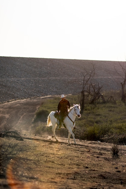 Foto gratuita silueta de vaquero con caballo contra luz cálida