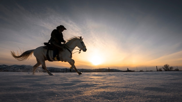 silueta, de, vaquero, en, un, caballo