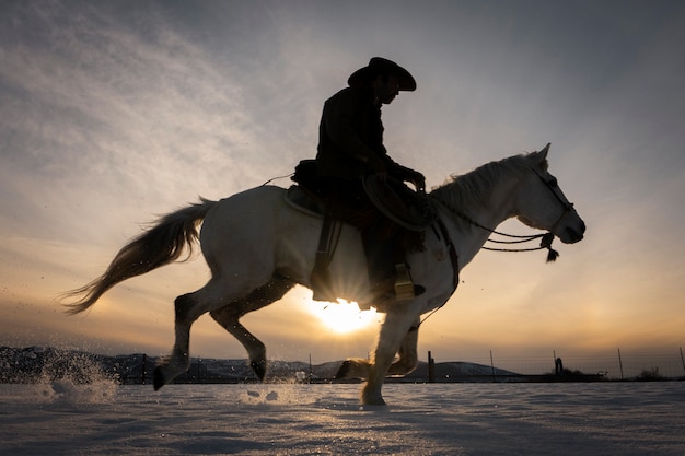 Foto gratuita silueta, de, vaquero, en, un, caballo