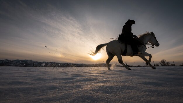 silueta, de, vaquero, en, un, caballo