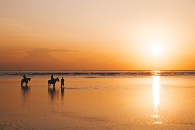 Siluetee el retrato de la joven pareja romántica que monta a caballo en la playa. Niña y su novio al atardecer dorado colorido