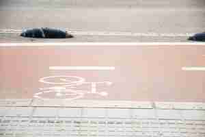 Foto gratuita símbolo para indicar el camino para bicicleta.