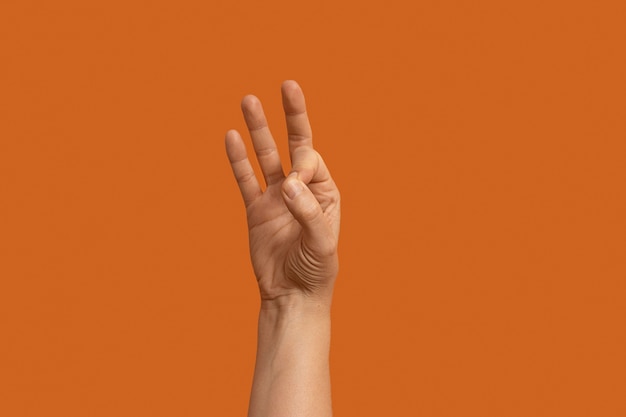 Símbolo de lenguaje de señas aislado en naranja