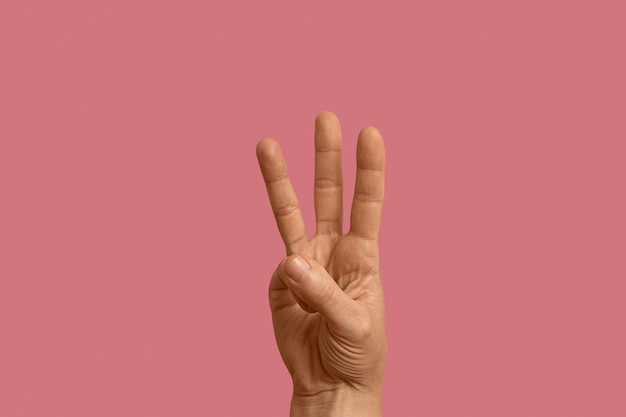 Símbolo de lenguaje de señas aislado en rosa
