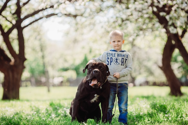 El simpático niño se encuentra cerca de un perro en el parque