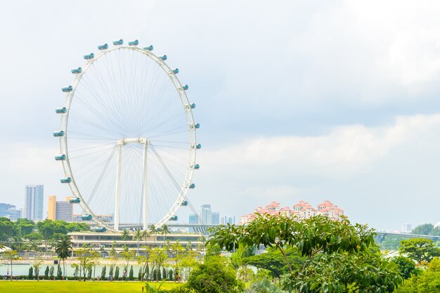 Singapore flyer en singapur