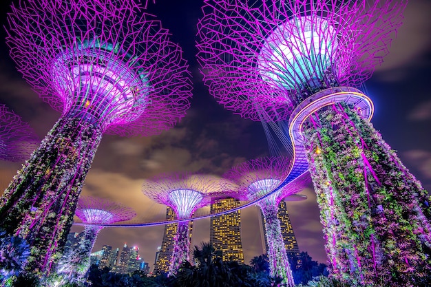 SINGAPUR - 11 DE FEBRERO DE 2017: Paisaje urbano de Singapur en la noche en Singapur.