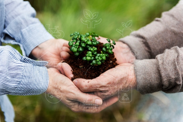 Smart farming 5.0 tecnología agrícola de productos de plantas verdes