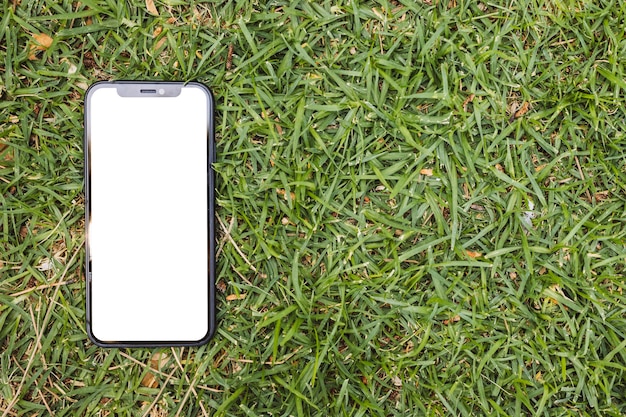 Smartphone con pantalla en blanco sobre hierba