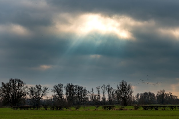 Sol brillando detrás de las nubes oscuras sobre el campo verde