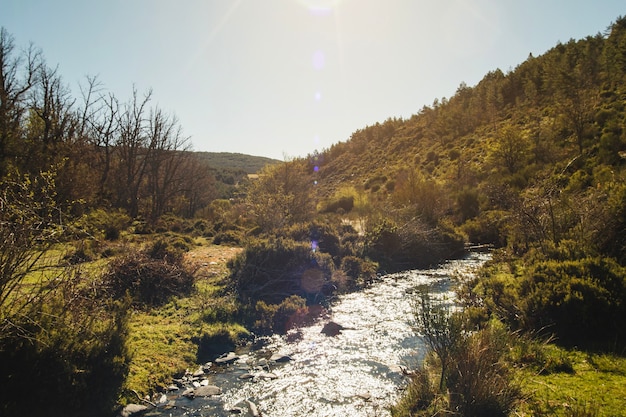 Sol brillando a río pequeño