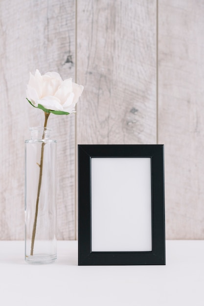 Sola flor blanca en florero cerca de marco de imagen en blanco