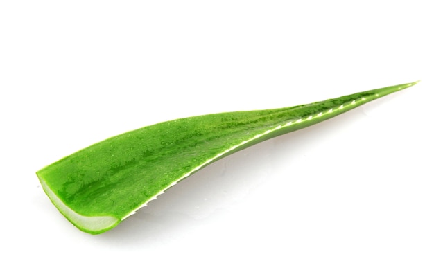 Sola hoja de aloe vera aislada