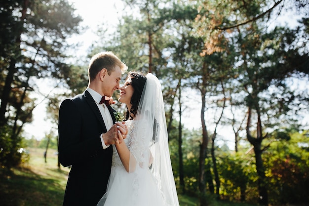 Solo, pareja, pareja, tenencia, manos, sonriente