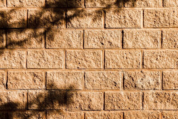 Sombra de un árbol en la pared de ladrillo