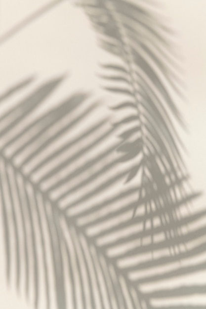 Sombra de elemento de diseño de hojas de palma.