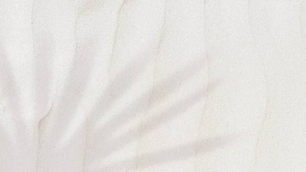 Sombra de hoja de palma sobre un fondo de textura de arena con espacio de copia