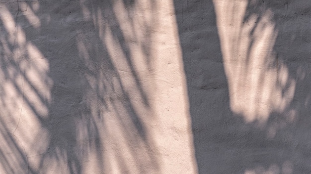 Foto gratuita sombra de hojas en un muro de hormigón