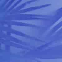 Foto gratuita sombra de hojas de palmera sobre fondo azul