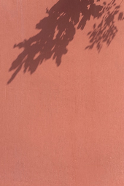 Foto gratuita sombra de hojas en una pared naranja