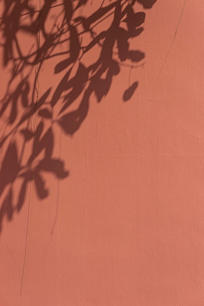 Sombra de hojas en una pared naranja