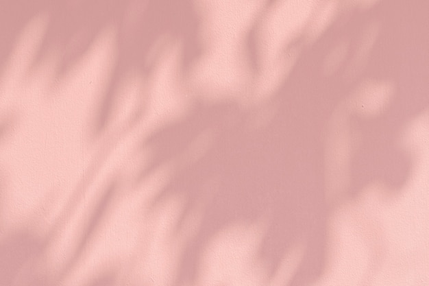 Sombra de hojas en una pared rosa