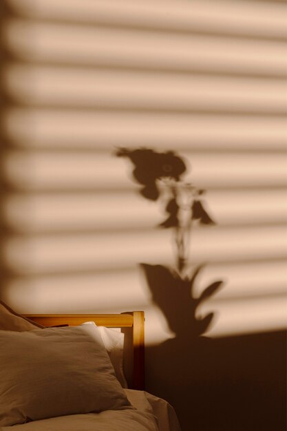 Sombra de ventana en la pared del dormitorio