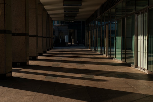 Sombras hechas por la luz del día en la ciudad con arquitectura.