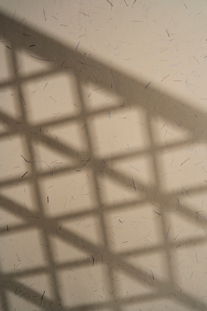 Sombras naturales y abstractas