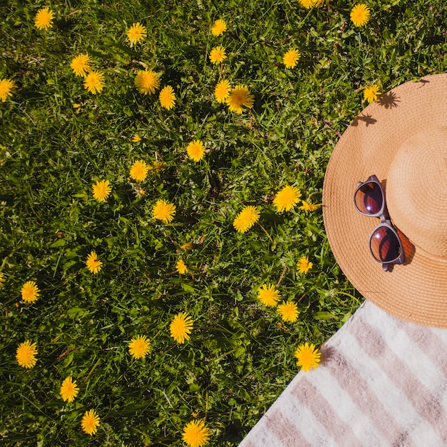 Foto gratuita sombrero y gafas de sol en el césped con flores