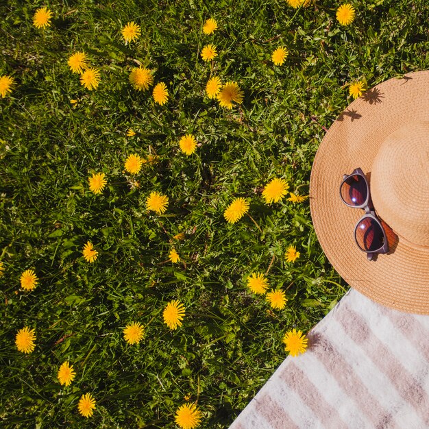 Sombrero y gafas de sol en el césped con flores 