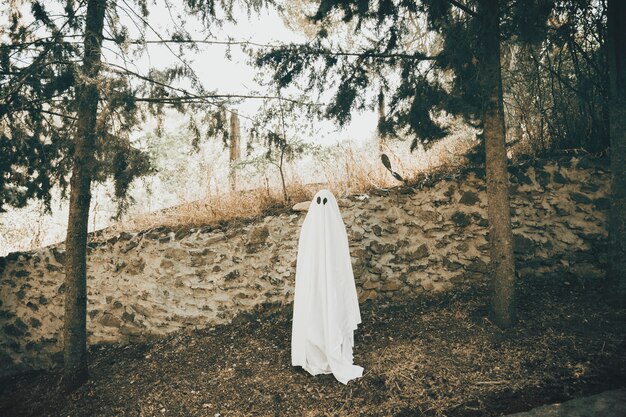 Sombrío fantasma cerca de la pared en el parque