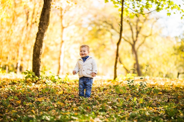 Sonrisa Lindo niño de pie cerca del árbol en el bosque de otoño. Niño jugando en el parque de otoño.