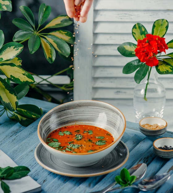 sopa de tomate en la mesa