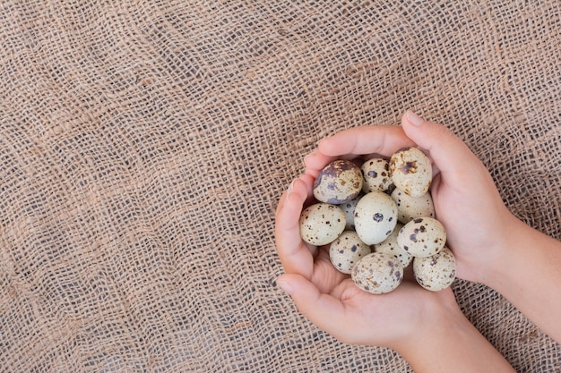 Foto gratuita sosteniendo huevos orgánicos en la mano.