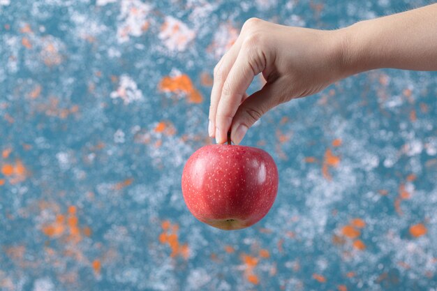 Sosteniendo una manzana roja del tallo sobre fondo azul.